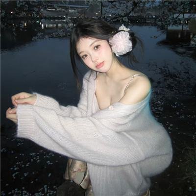 妙探双龙
